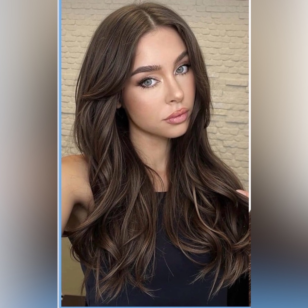 HD Lace Front Wig Synthetic 22 Inch Dark Brown Highlight Glueless Wig# 2002G